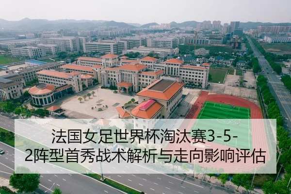 法国女足世界杯淘汰赛3-5-2阵型首秀战术解析与走向影响评估